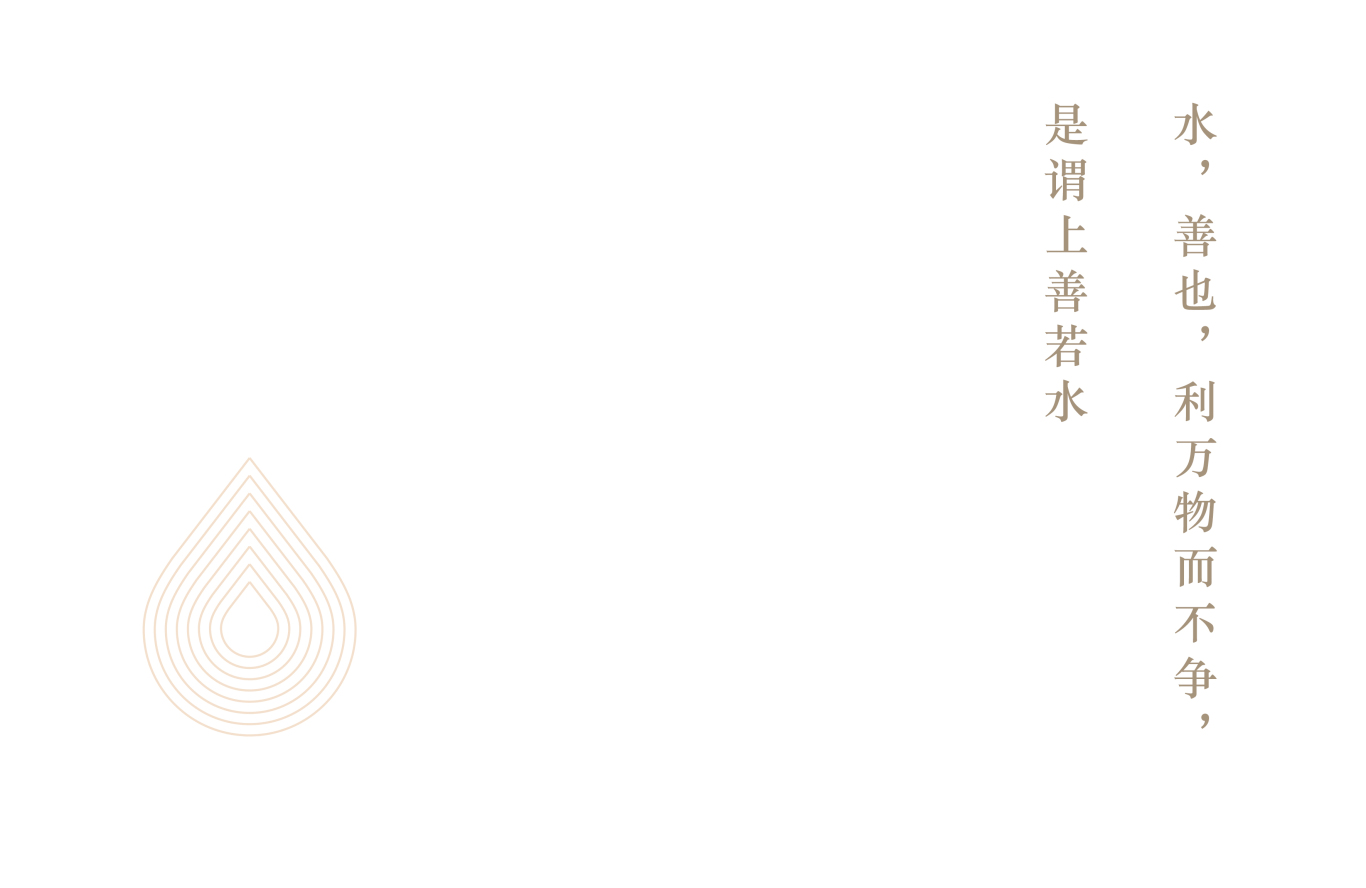 武夷姑娘茶业logo图0