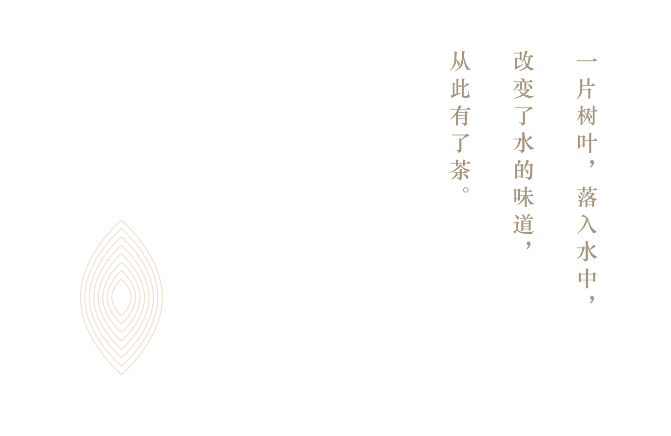 武夷姑娘茶业logo图1