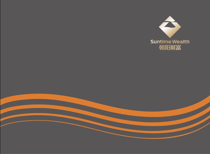 上海朝阳财富品牌VIS基础部分设计图42