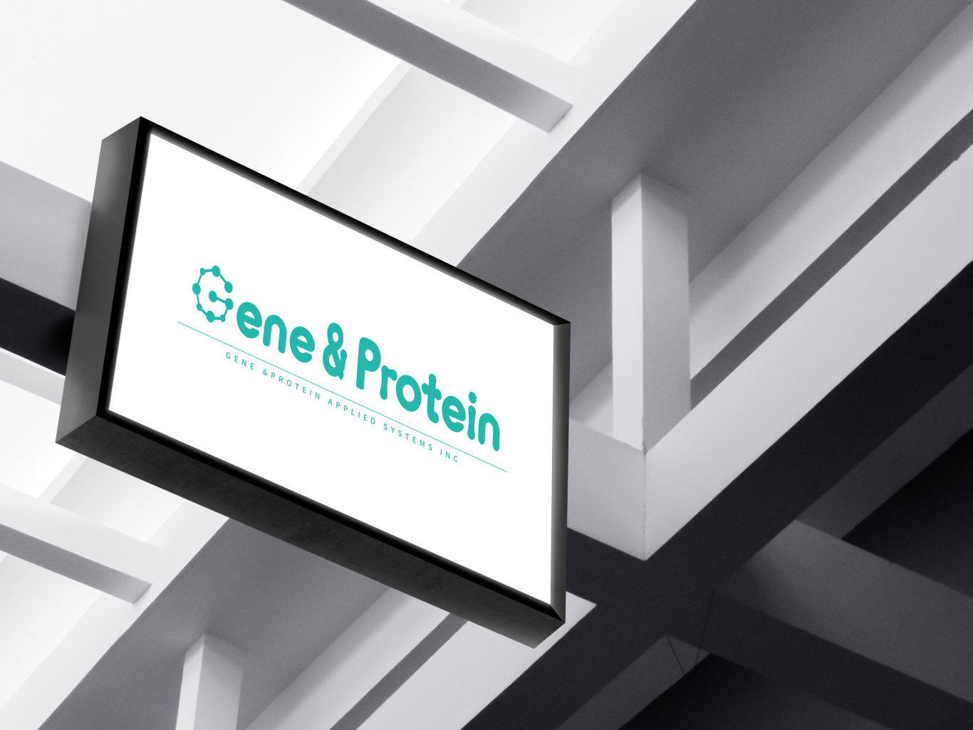 Gene&Protein图4