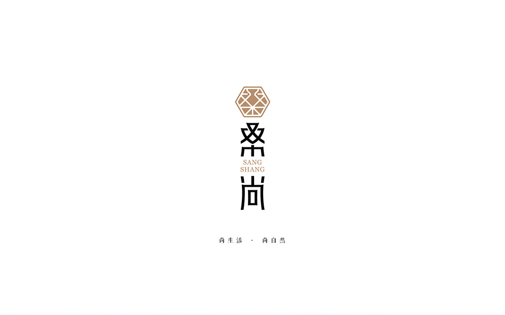 吴江桑尚丝绸有限公司logo设计图8