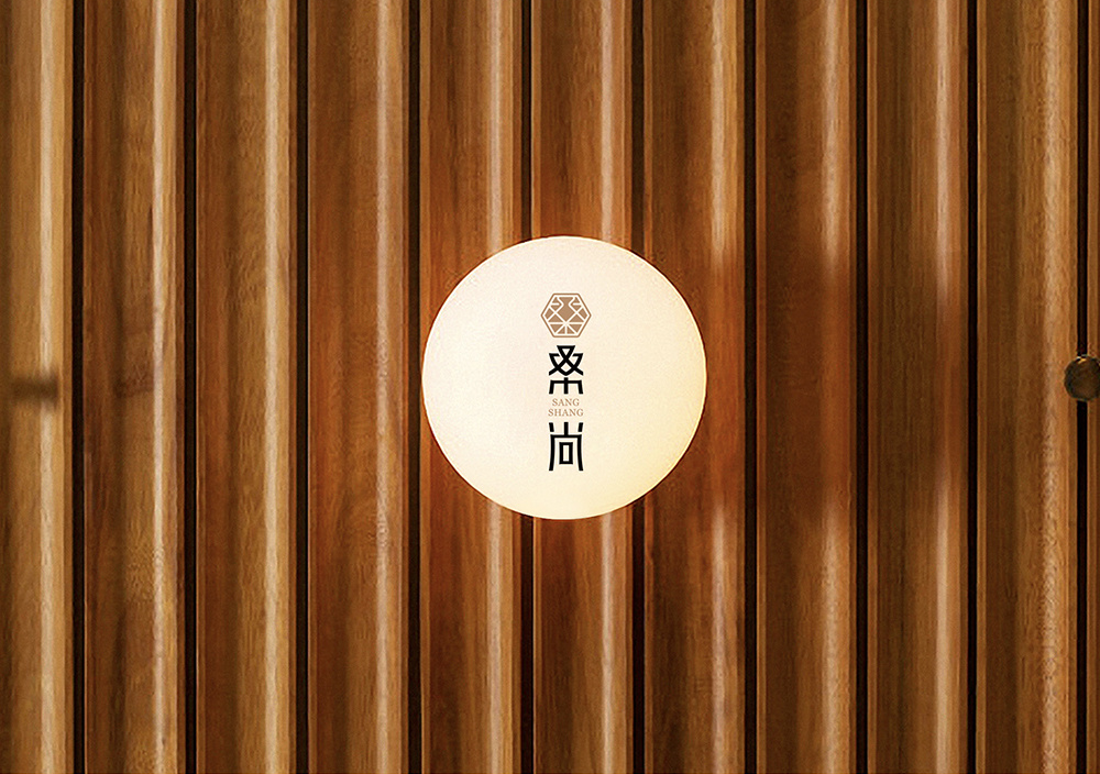 吴江桑尚丝绸有限公司logo设计图11