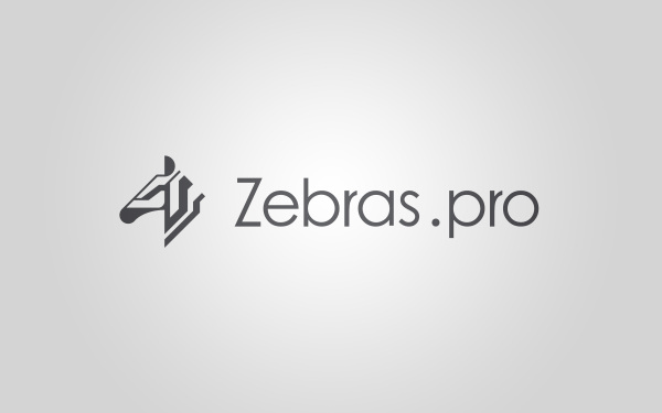 斑馬算力（Zebras.pro）品牌logo設計