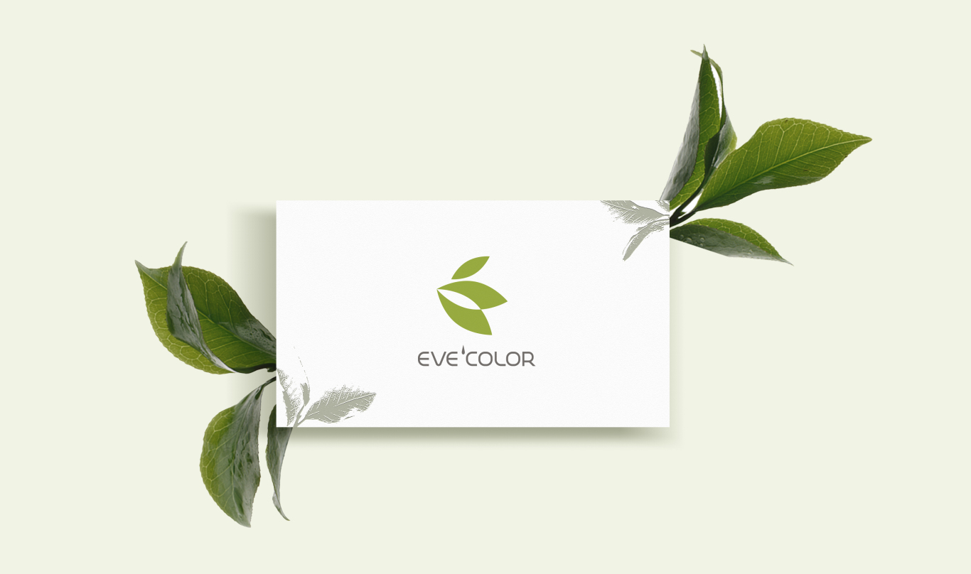 EVE品牌logo设计图5