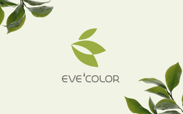EVE品牌logo设计