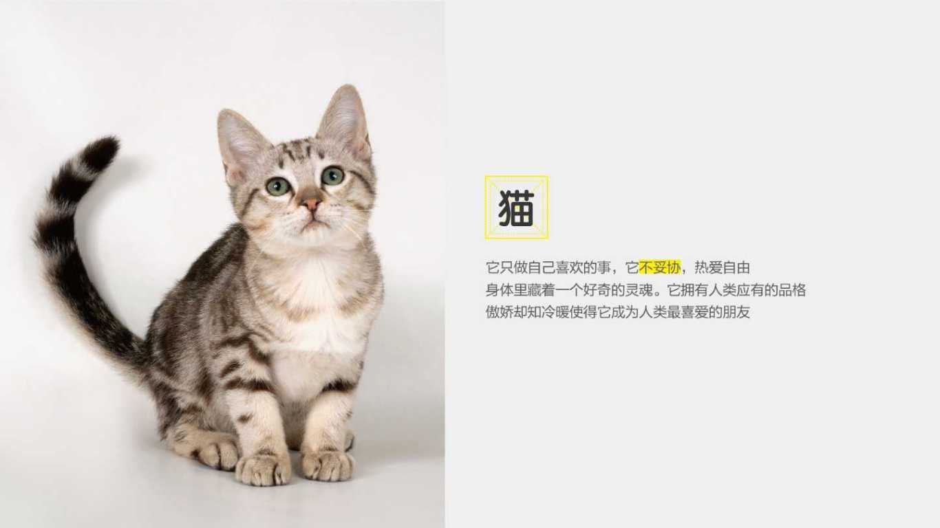 猫目家 天猫旗舰店logo升级-飞机稿未商用图0