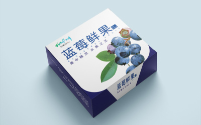 藍莓包裝