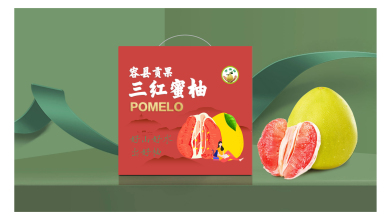 贡果柚高端蜜柚品牌包装设计