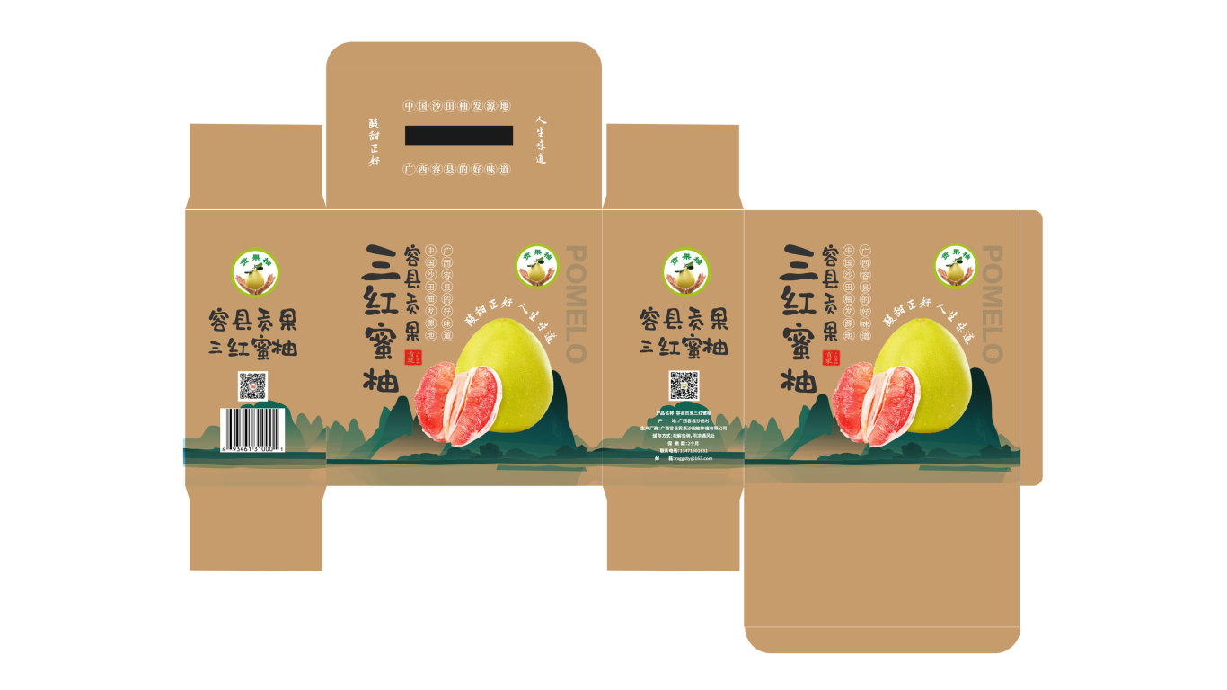 贡果柚蜜柚品牌包装设计中标图3