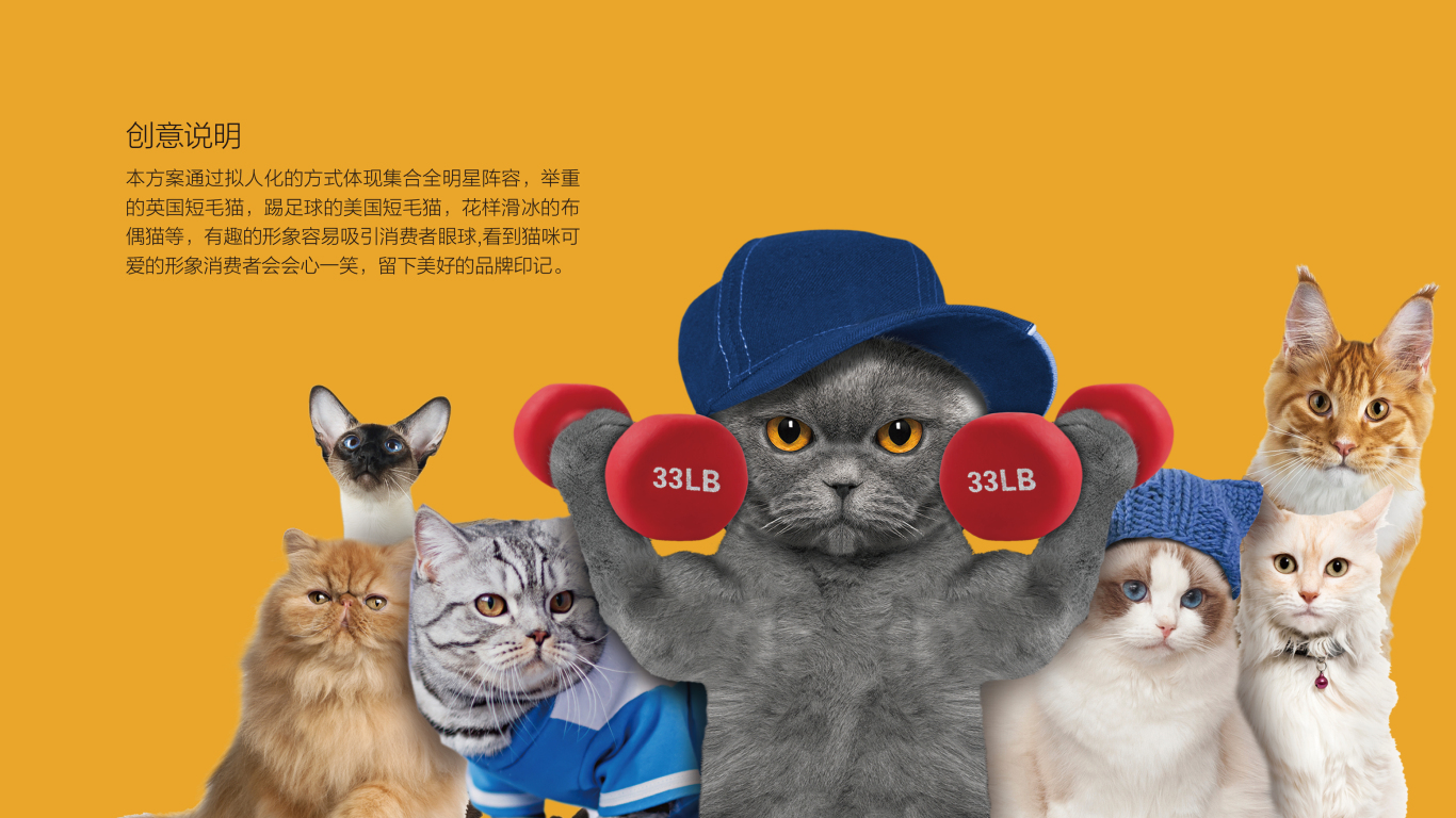 七彩狮猫粮品牌包装设计中标图0