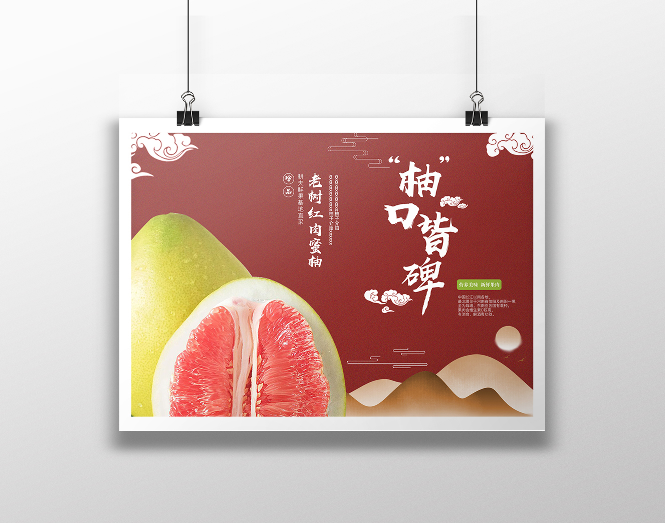 柚子包装设计 - 国风成语系列图1