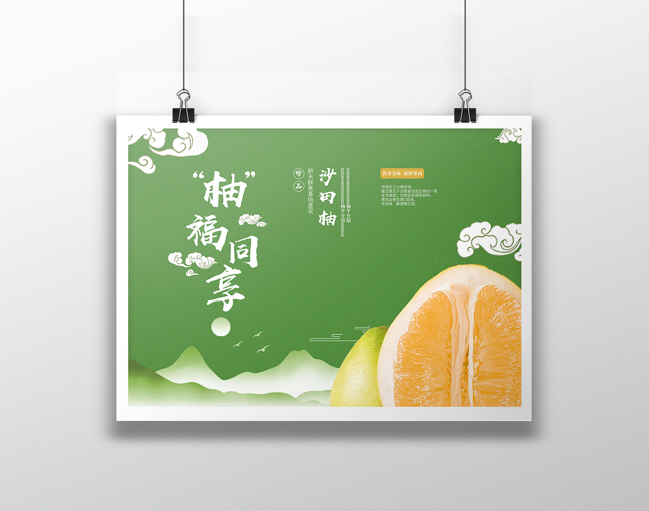 柚子包装设计 - 国风成语系列图2