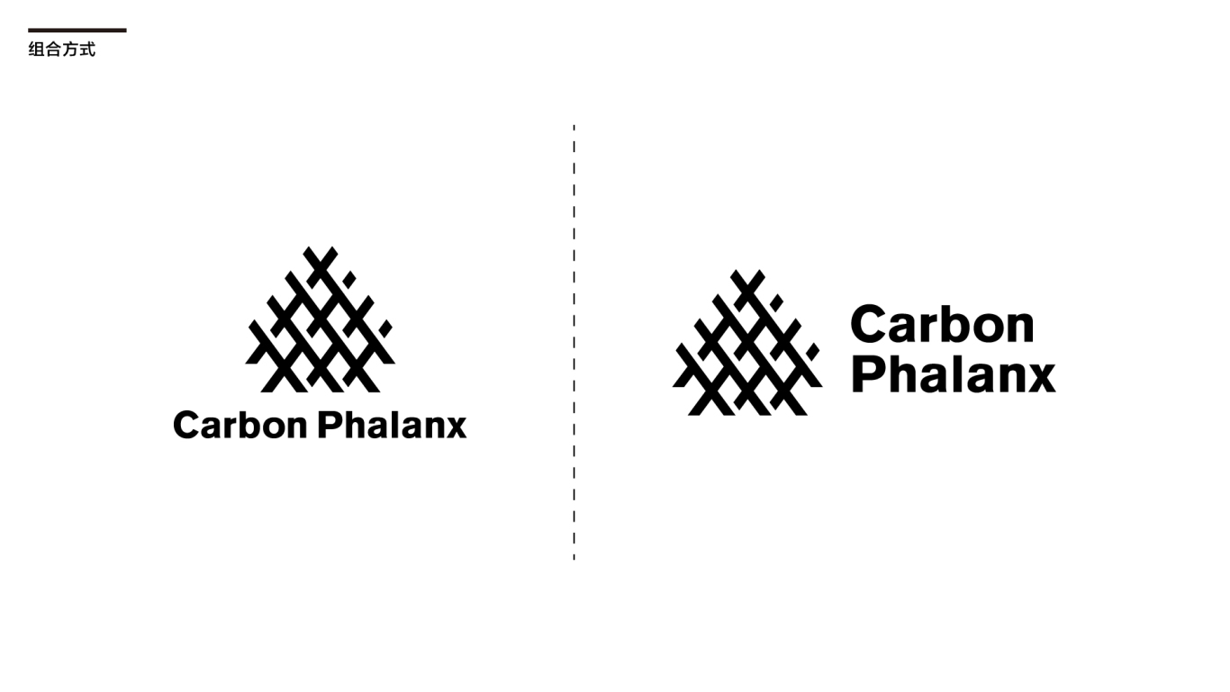 CARBON PHALANX图2