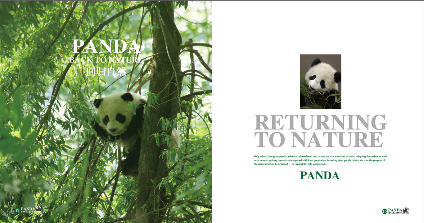 熊猫回归自然图7