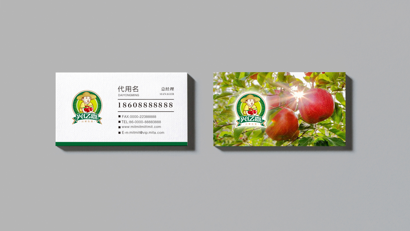 兴亿嘉生鲜水果连锁店LOGO设计中标图5
