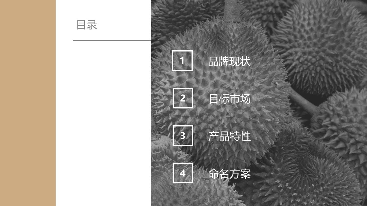食品类中文命名方案图0