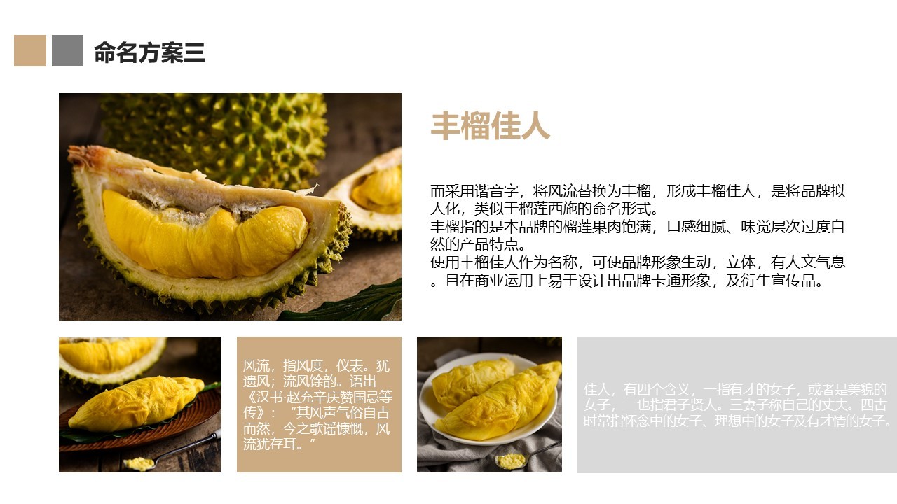 食品类中文命名方案图9