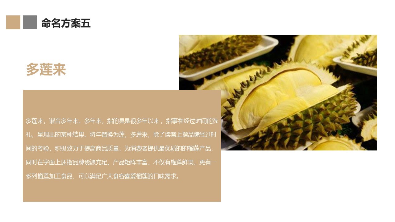 食品类中文命名方案图11