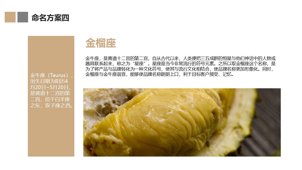 食品类中文命名方案图10
