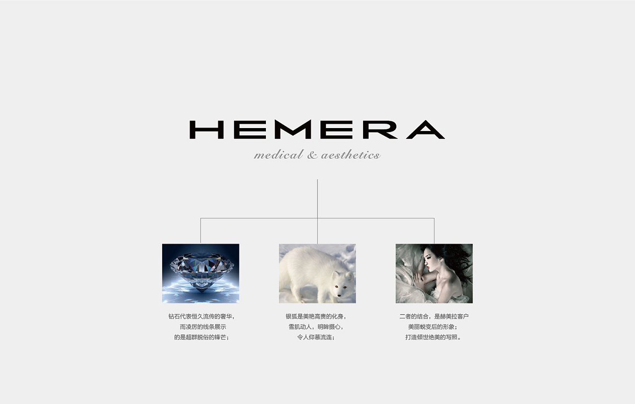 Hemera美容机构品牌设计图2