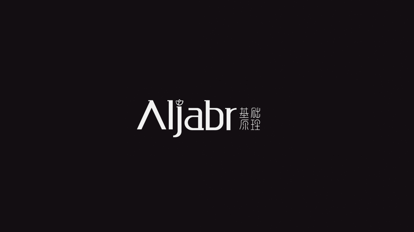 Aljabr基础原理图3