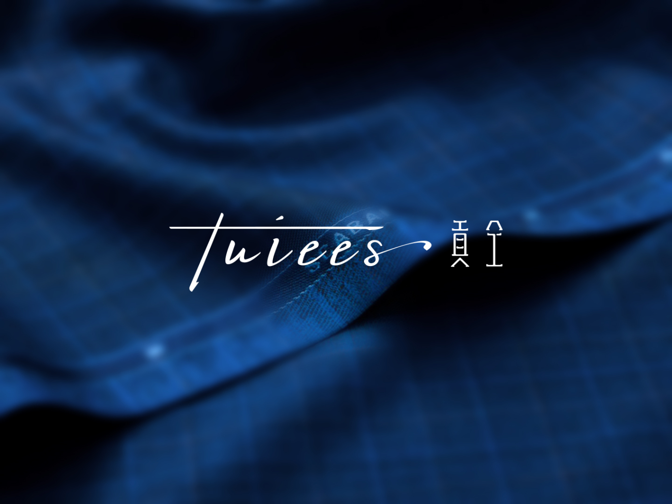 tuiees服装公司logo设计图0