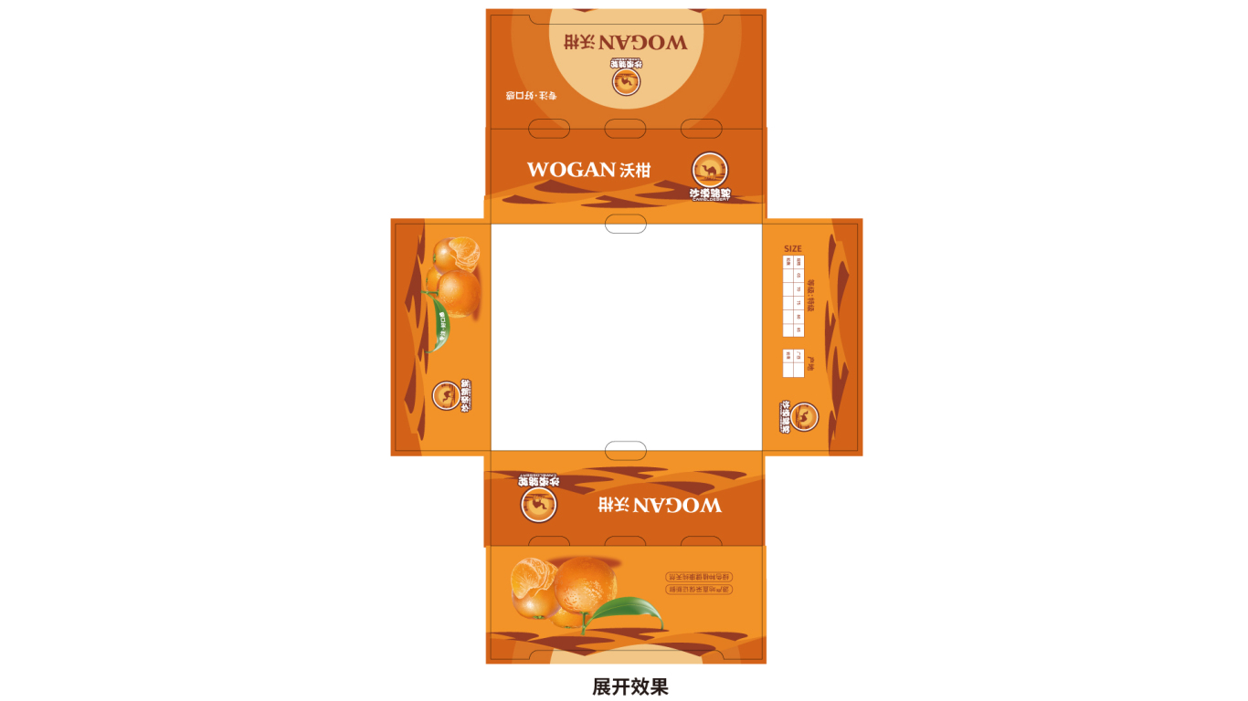 沙漠骆驼水果品牌包装设计中标图1