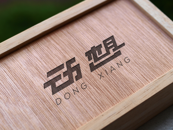 动想-DONGXIANG-广告字制作-logo设计图2