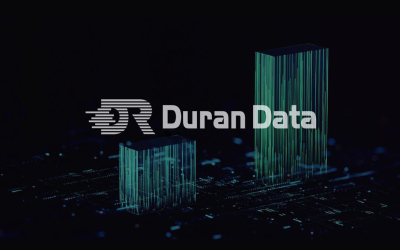 DR大数据logo项目设计