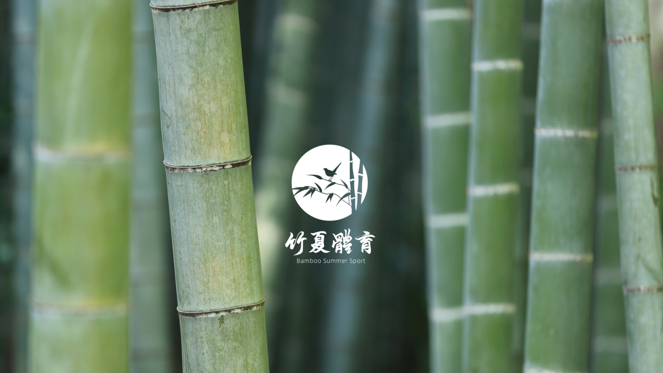 竹夏体育品牌logo图1