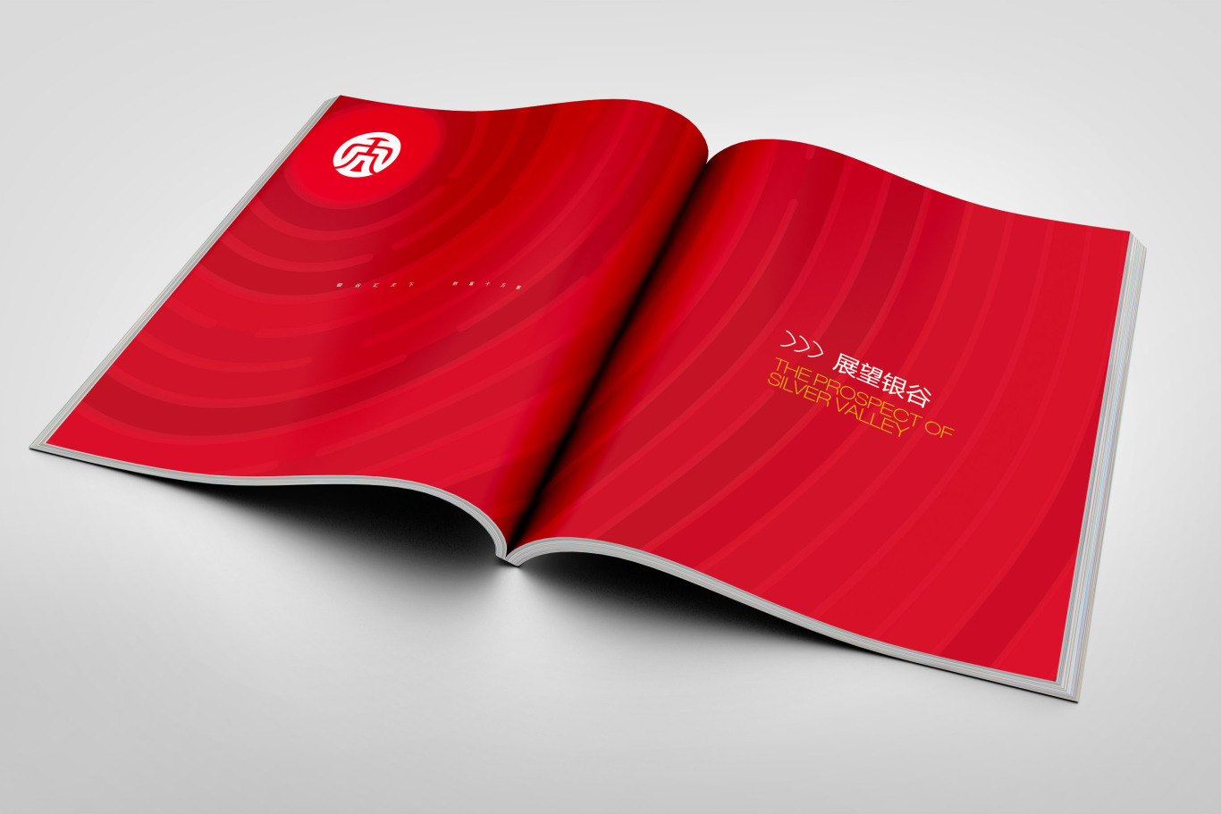 东方银谷互联网金融画册设计图16