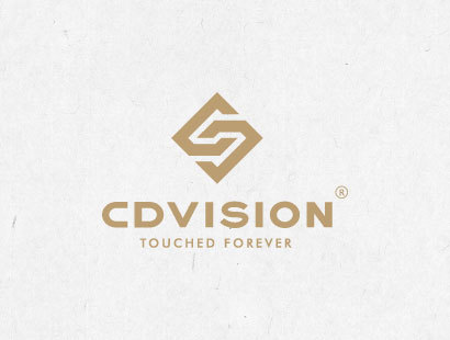CD视觉logo设计