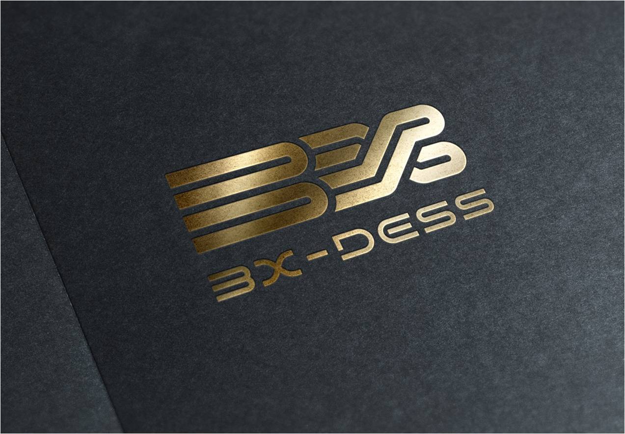 BX-DESS | 宝星集团LOGO设计图14
