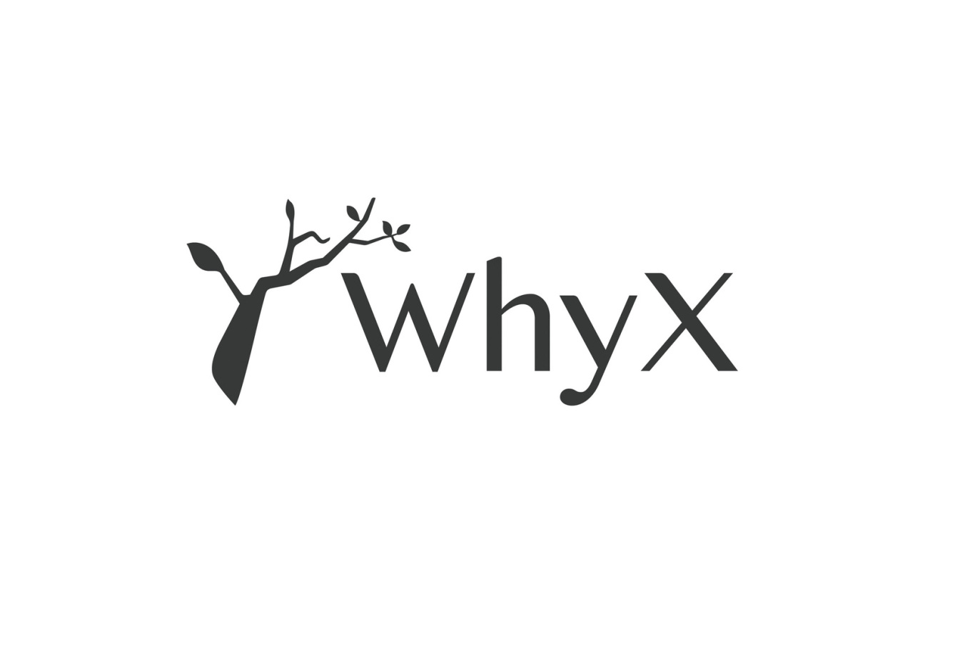 whxy X 珠宝图1