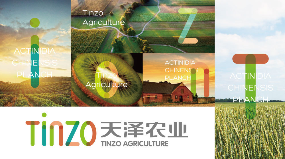 天泽农业图1