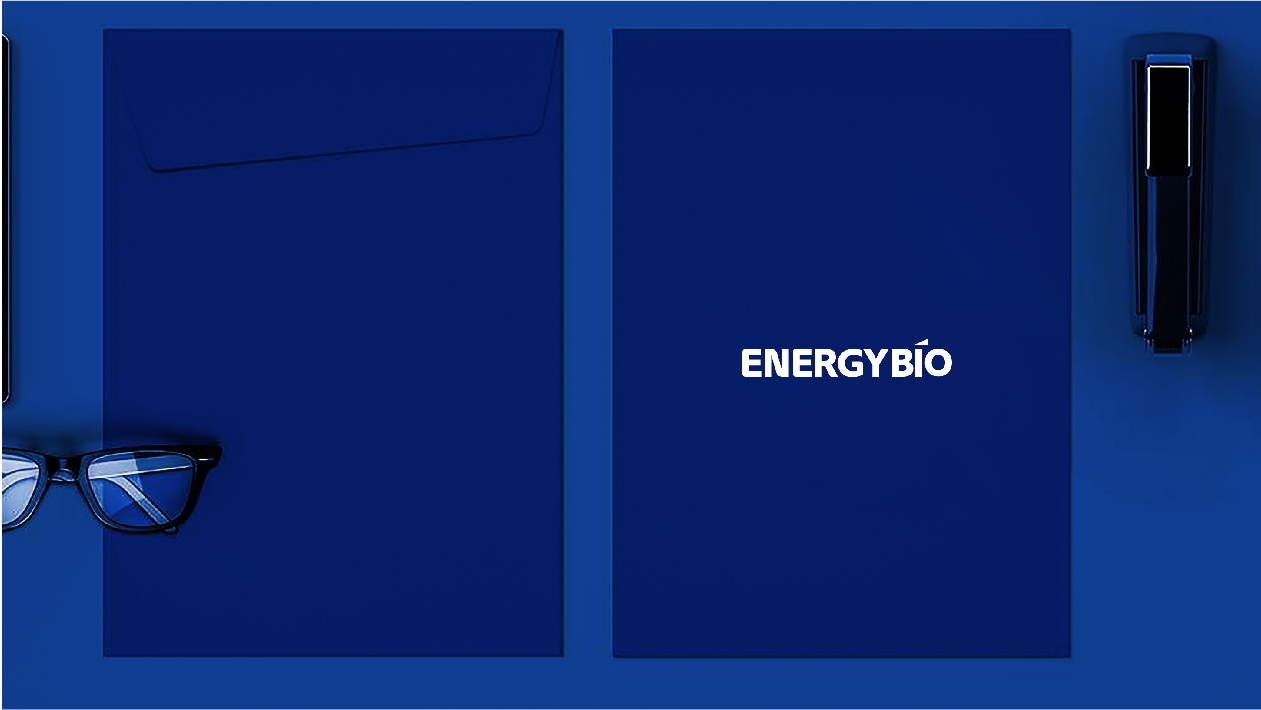 Energybio比博能创公司logo设计图8
