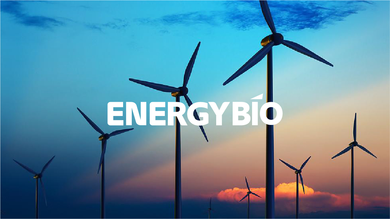 Energybio比博能创公司logo设计图4