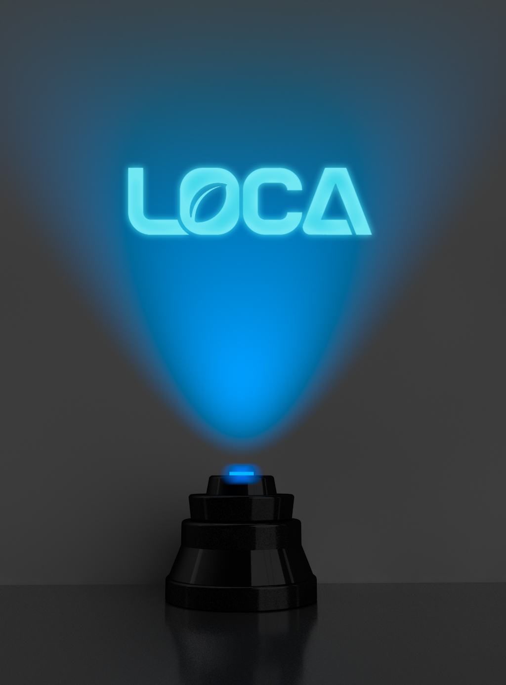 LOCA环境LOGO图4