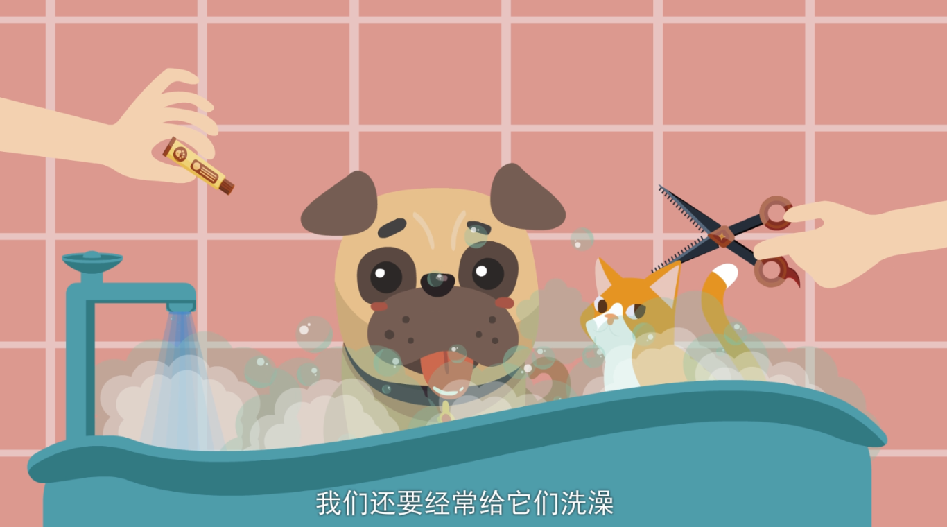 中國人口宣傳教育中心（孕期寵物教育宣傳片）圖3