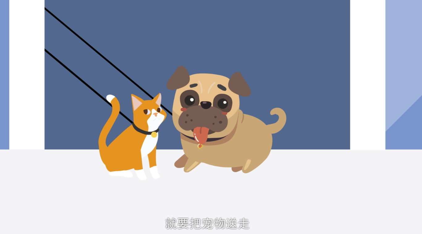 中国人口宣传教育中心（孕期宠物教育宣传片）图0