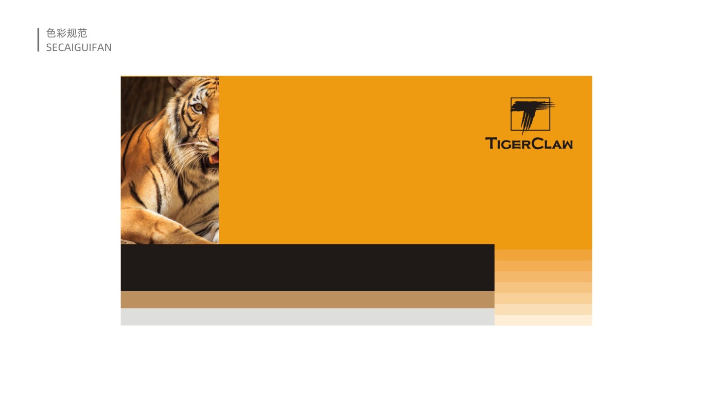 Tiger Claw高端寵物食品品牌LOGO設計中標圖6