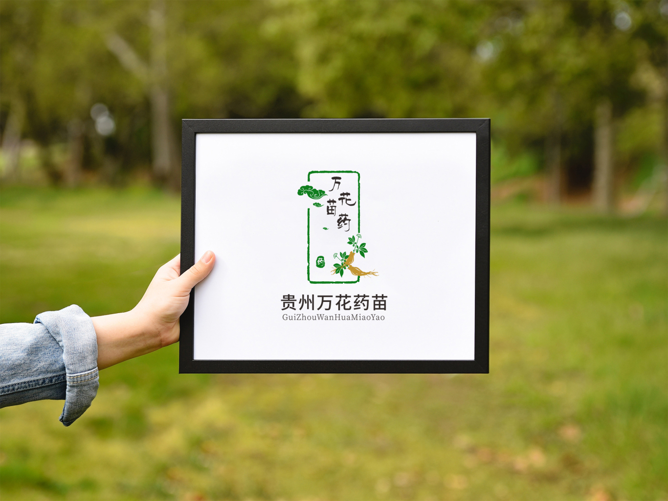 貴州苗藥logo設計圖1