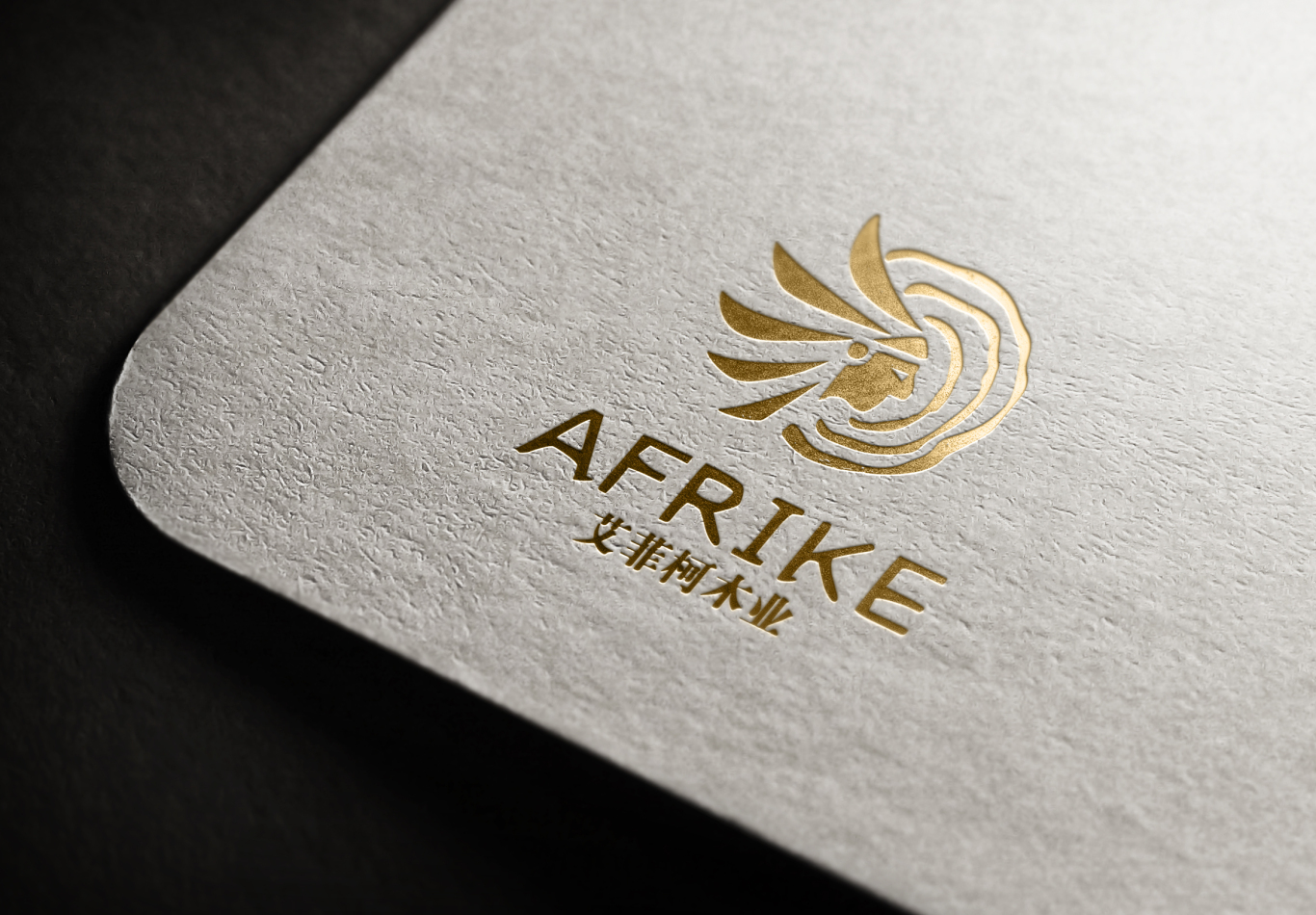   AFRIKE 艾菲柯木业logo设计图4