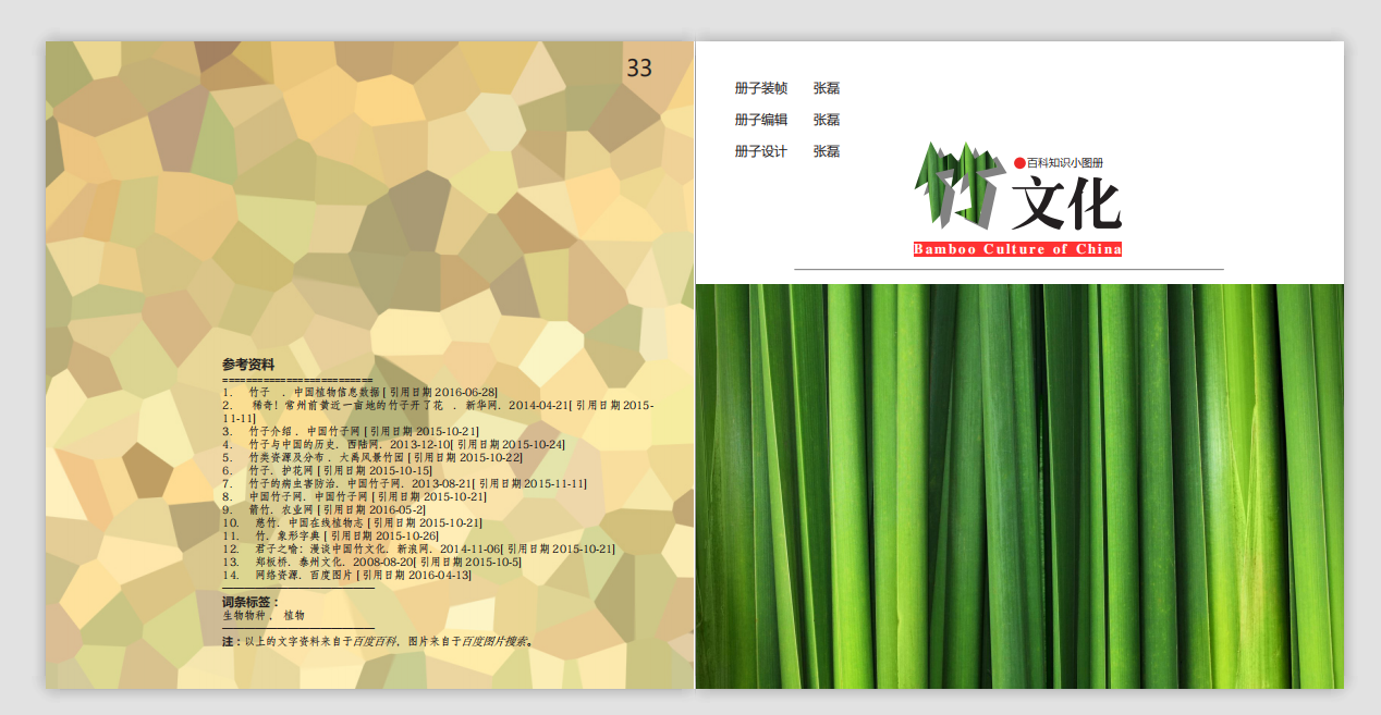 竹文化图册设计图5