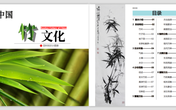 竹文化图册设计
