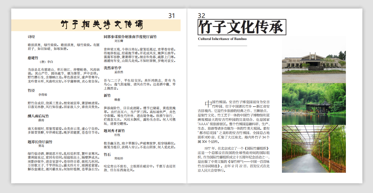 竹文化图册设计图4