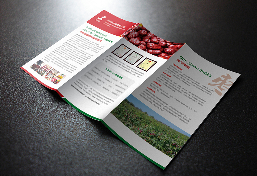 东营折页设计画册宣传物料设计 农产品折页设计图0