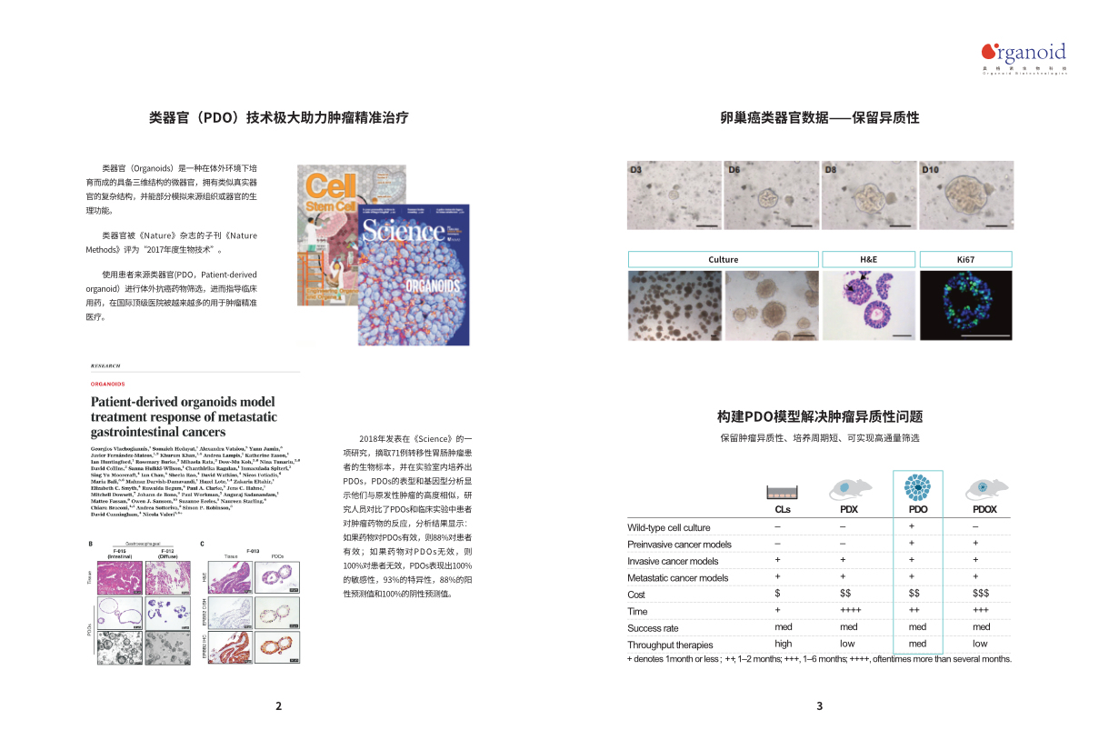 卵巢癌药筛产品手册图2