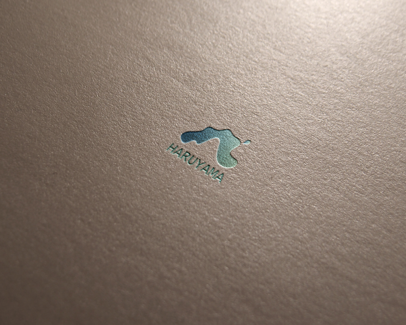 HARUYAMA 冲浪运动品牌 logo设计图3