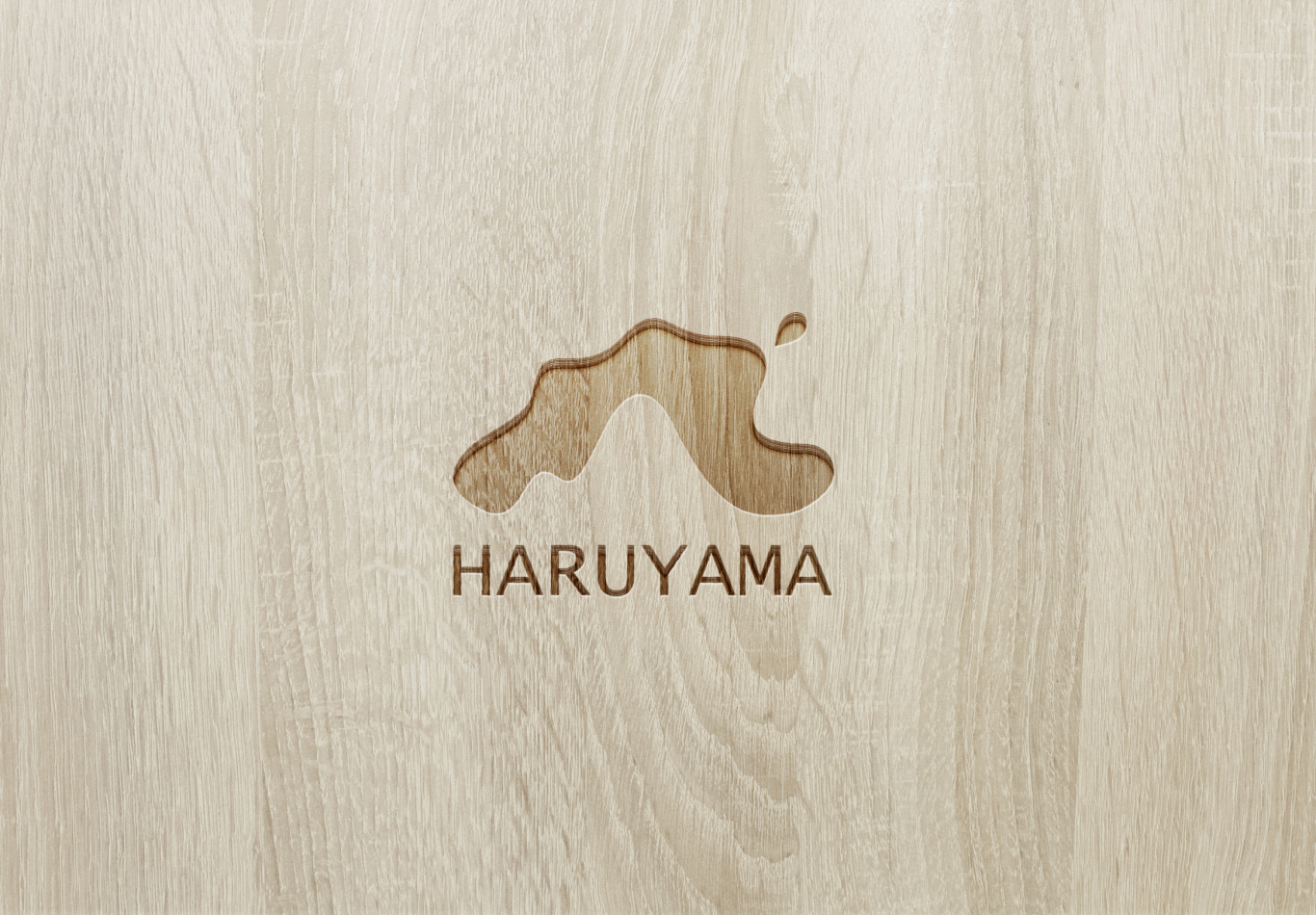 HARUYAMA 冲浪运动品牌 logo设计图4